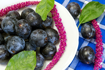 Plums on a white plate