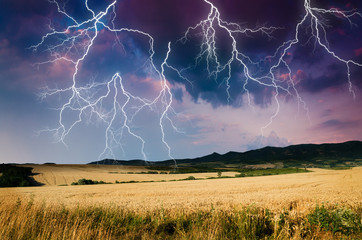 thunderstorm with lightning in wheat land