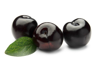 Plum fruits isolated