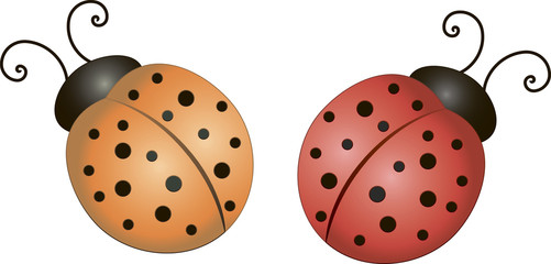 ladybugs