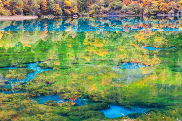 colorful autumn in jiuzhaigou