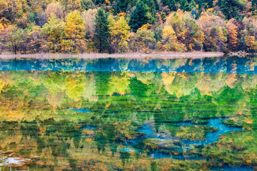 autumn fairy tale landscapes in jiuzhaigou