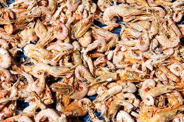 Close up on dried shrimps in the sun