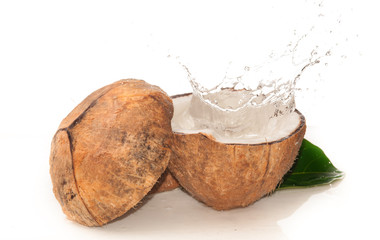 Coconut with water splash over white