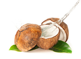 Coconut with water splash over white