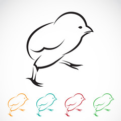 Vector image of an chick © yod67