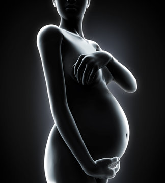 Pregnant Woman Illustration