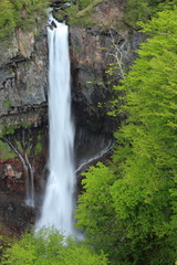 Obraz premium 華厳の滝