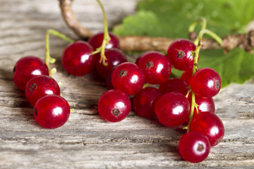 Red currant.