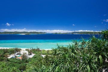 沖縄の海・ニシハマビーチ