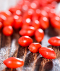 Portion of Goji Berries (Wolfberry)