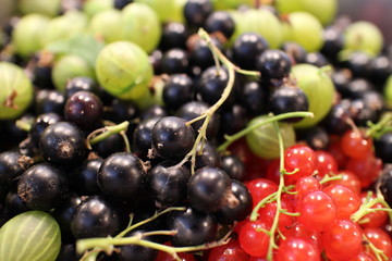making juice of fresh berries