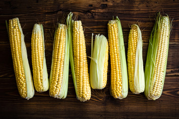 Fresh corn cobs © Sunny Forest