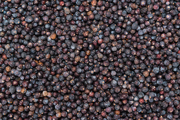 Dried Juniper Berries background image