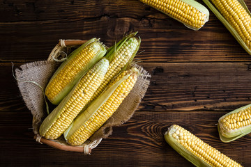 Fresh corn cobs © Sunny Forest