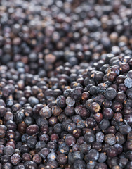 Dried Juniper Berries background image