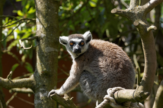 pairi daiza-1