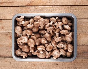 Mushroom Boletus over Wooden Background. Autumn Cep Mushrooms
