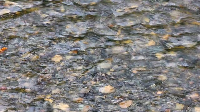 surface of a flowing creek