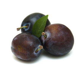 Fresh purple plums
