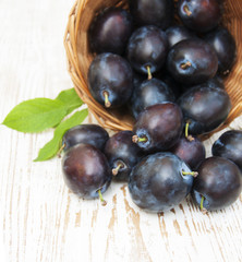 Fresh purple plums