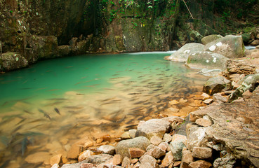 Waterfall in national park , Chanthaburi , thailand