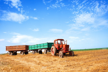Obraz premium old red tractor and trailers during wheat harvest on cloudy summ