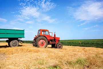 old red tractor and trailers during wheat harvest on cloudy summ