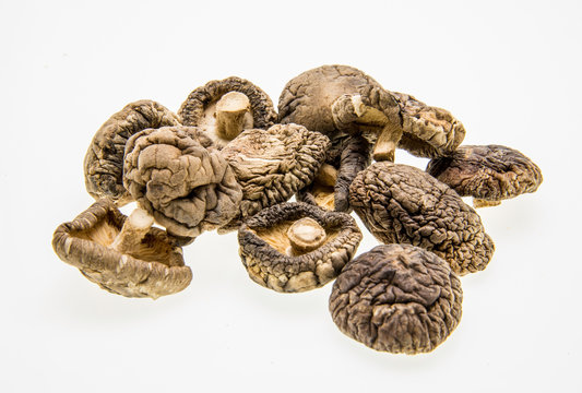 dried shitake mushrooms. on a white background.