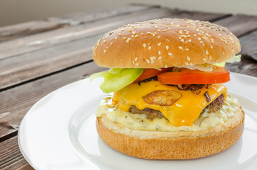 Cheeseburger with bacon and tartar sauce and garden salad