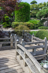 Japanese Garden wooden walkway