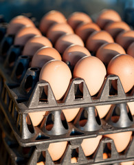 Hen-eggs on market