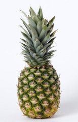 Fototapeta premium Ananas