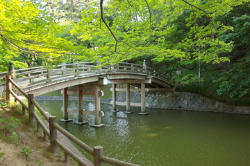 Fototapeta na wymiar 新緑の中の木造橋