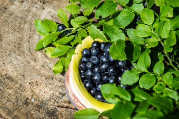 Blueberries, blue, compote, bowl with blueberries