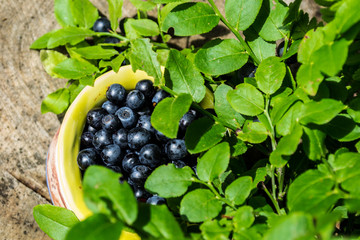 Blueberries, blue, compote, bowl with blueberries