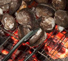 Fire grilled seashell on bbq