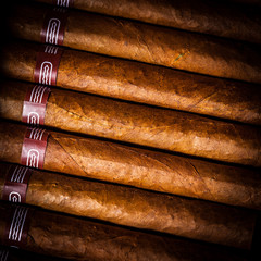 Cigars in humidor