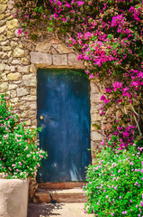 Detail of colorful entrance door surrounded by flowers
