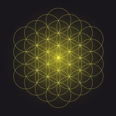 Glowing Flower of Life - Geometrical Ornament