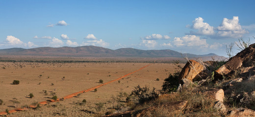 Strada dello Tsavo Est africa