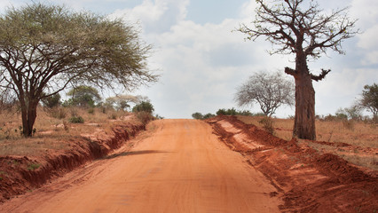Fototapeta na wymiar Strada sterrata in Kenya