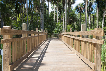Obraz premium Hiking Bridge