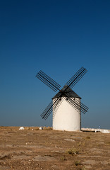Fototapeta premium windmills