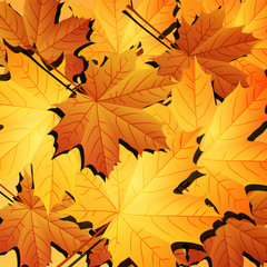 Autumn background