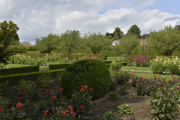 Les vari&eacute;t&eacute;s de dahlias du jardin