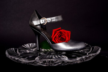 Lady's Shoe and rose