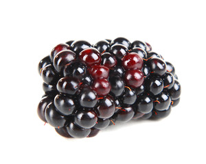 Delicious blackberries isolate on white