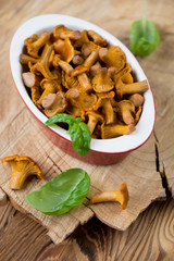 Marinated chanterelles with green basil leaves, high angle view