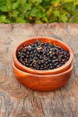 Sweet, black currant and green leaves in wooden bowl.